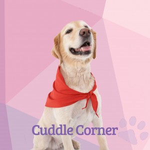 Cuddle Corner
